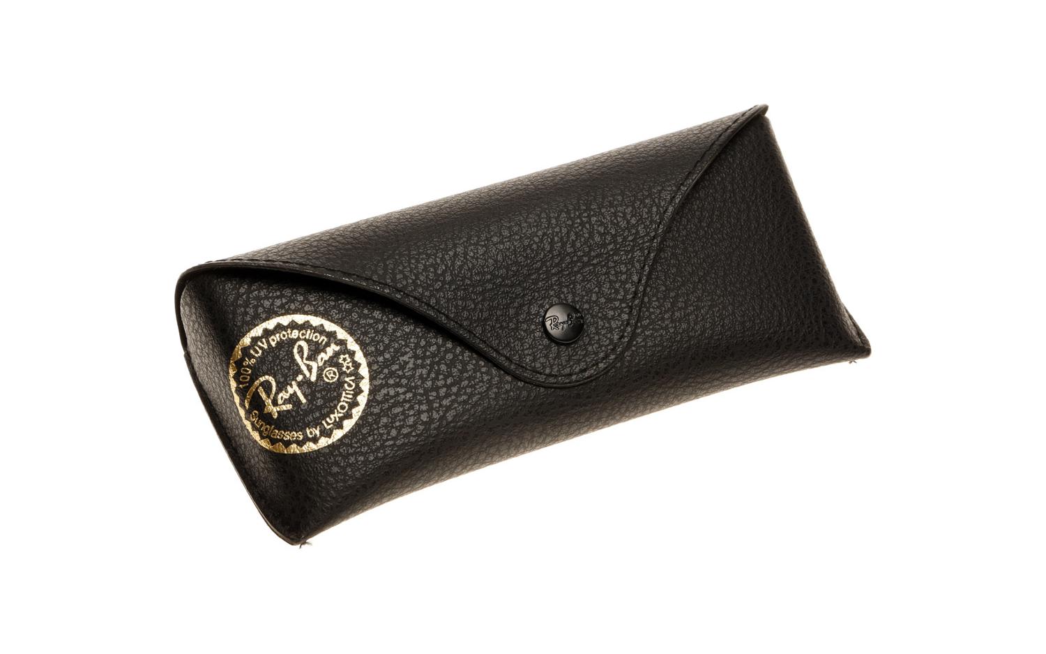 Ray Ban Standard Matte Textured Black Case Sunglasses