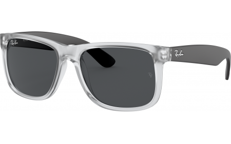 Ray ban justin price on sale