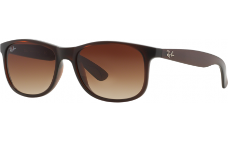 Rayban rb 4202 hotsell